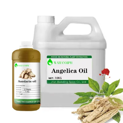 Organic 100% Pure Natural Private Label Angelica Root Oil Factory Supply Angelica Essential Oil for Body Care