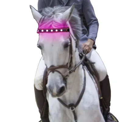 Outdoor Equestrian Horse Halter Decoration LED Light Binding Band Horse Headband