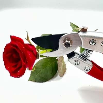 Alloy Steel Handle Shears for Cutting Branch