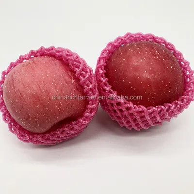 Chinese Quality Fresh Red Fuji Apple for Exporting