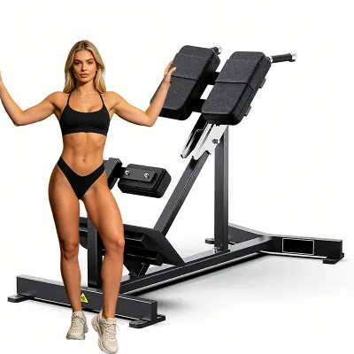 WENDY High Quality Adjustable Safety Stainless Steel Commercial Use BW Back Extension Machine for Gym Fitness Training