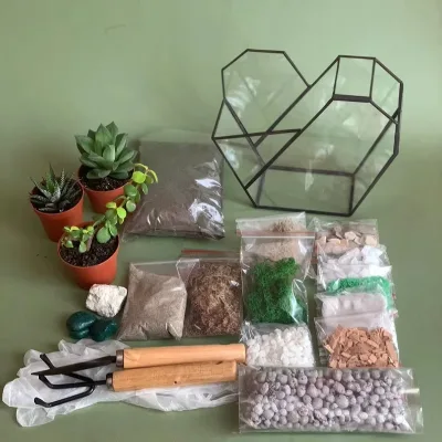 DIY Geometric Terrarium Kit with Succulents Christmas Gift for Kids and Gardeners Living Room Decor for New Home Floor Use