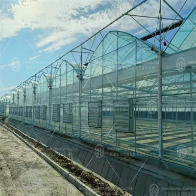 Agricultural Hot-dip Galvanized Steel Venlo Glass Greenhouse With Light Deprivation Blackout System