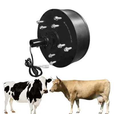 German Construction Industry Warehouse Use 16ft 18ft Big Ass Fan 220V 380V 1500w Induction Hvls Bldc Fan Motor