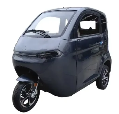EEC Certified L6e Electric Tricycle | Long Range | Swappable Battery | Factory Direct