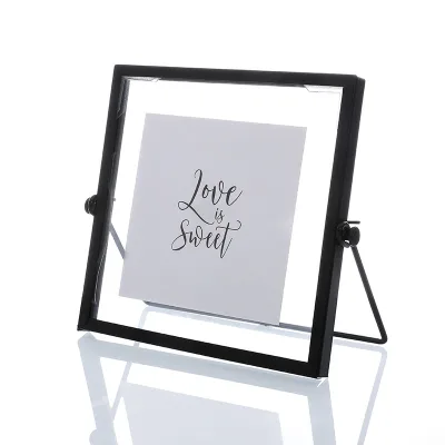 6 Inch Double Glass Frame for Pressed Flowers Leaf Glass Geometric Wall Decor and Gold Picture Frame Floating Picture Frame