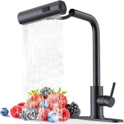 Single Hole Thermostatic Kitchen Faucet Pull Spray Single Handle Brushed Stainless Steel Deck Mounted Contemporary Modern Camper