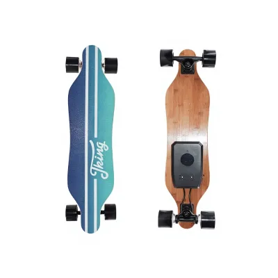 H2A Mini Skateboard Profession Customized 7 Plys Maple Skate Board Decks Dual Hub Motor 350W*2 20km/h 70mm PU Wheel Longboard