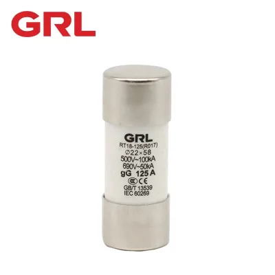 Low Voltage Fuse Fusible Link R017 10A-125A 500VAC Fuse Link 22*58 Fuse Holder