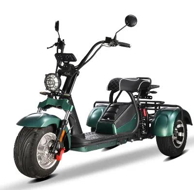 Hot Sale Fashion New Style 3-Wheel 2000W Electric Tricycle Adult Riding 60V20AH Aluminum Alloy Waterproof Full Suspension Max