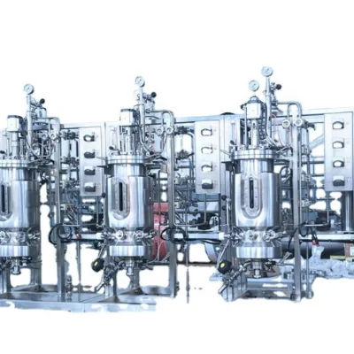 Meets the GMP Production Standard Industry Bioreactor/ Fermentor/ Freeze Bioreactor