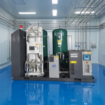 93%±3% Purity Medical PSA Oxygen Generator Full Air Pretreatment System 24H Continuous Running