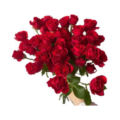 Red Multi-Headed Rose Yunnan Kunming Straight Hair Floral Part