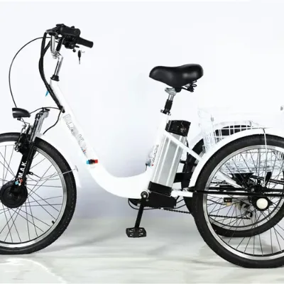Wholesale 48V 350W 24-inch Adult Freight Tricycles/adult 3-wheel Electric Tricycles