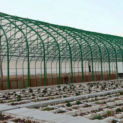 Galvanized Steel Structure Prefabricated Steel Frame Garden Buildings Outdoor Storage Sheds Steel Building