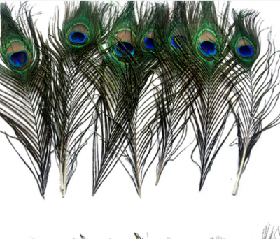 Wholesale Handmade Dyed Feather for Decoration Inch Natural Colored Peacock Eye