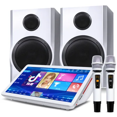 Factory Direct Full Set Music Studio Equipment Android Karaoke Player Machine 500GB Hard Disk Multi-Channel 8" Speakers 19"