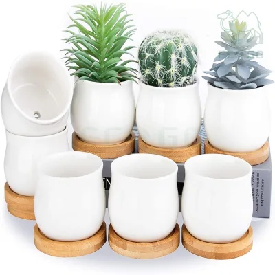 Mini Ceramic Flower Holder Succulent Potted Plant Base Round Bamboo Tray with Drip Hole