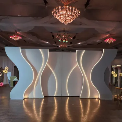 SMOOTH White Acrylic PVC Flower Decorative Background Set with Light  for Wedding Parties and Events