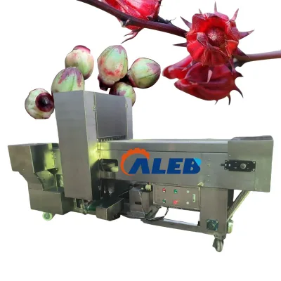 High Efficiency Roselle Core Pitting Processing Machine Plum Cherry Peach Apricot Pear Pitter Pitting Stoner Machine