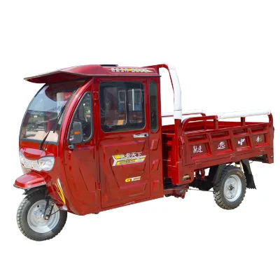 Hot Type Dump Tricycle Motorcycle Cargo Freight Tricycle Fuel Gasoline Motorized Tricycle