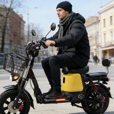 DISIYUAN Electric Bike with Child Seat Child Armrest & Basket 48V  60V 500W Li-ion Battery Electric Bicycle Family Electric Bike