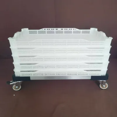 Food Grade Perforated Plastic Drying Freezing Tray Used in Shrimp Processing Factory for IQF Single Freezing