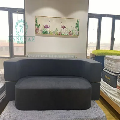 Canada China Direct Factory Durable Fabric Multifunction Foam Sofa Vacuum Compressed Box for Home School Bedroom Home Furniture