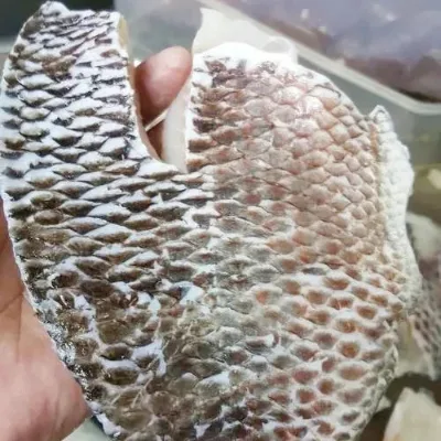 Premium Grade a 100% Pure IQF Processed Frozen Whole Tilapia Fillets Boneless Skinless Bulk