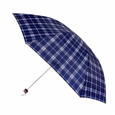 Folding Umbrella
