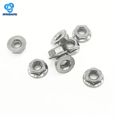 Industrial Flange Nuts Screws Nut Wholesale Supply