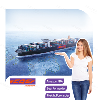Custom Clearance Trade Insurance Cheap Shipping Agent and Customs Broker for International Consolidation Service LCL+Express