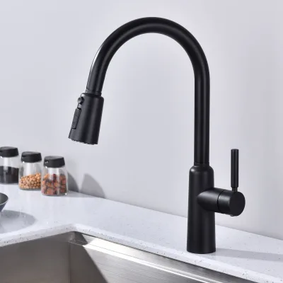 Black Kitchen Faucet Pull Out Sprayer Single Lever 3 Function Grifo Sink Faucet Torneira De Cozinha Water Tap Hot and Cold Mixer