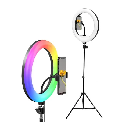 Hot Selling 10 Inch RGB Video Live Broadcast Fill Light Ring Light with 2.1M Stand Size Beautiful Circular Photography Light