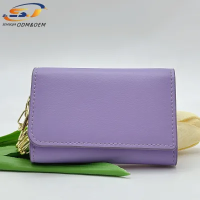 Fashionable Mini Multifunctional Card Holder Keychain Small Change and Card Pouch