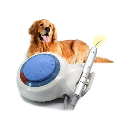 Hot-selling Dental Equipment Electric Dental Ultrasonic Piezo Scaler With Detachable LED Handpiece
