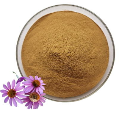 Natural Improve Immunity Echinacea Purpurea Extract Powder