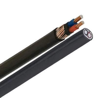 0.6/1kv 2 Core Copper/ Aluminium Concentric Cable Low Voltage ASTM Standard Multi