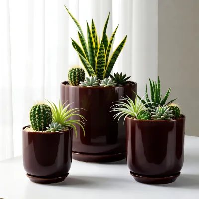 Nordic Simple Style Round Shape Ceramic Flower Pots with Saucer for Home Garden Decor