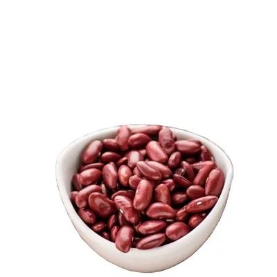Red Kidney Beans Premium Grade Pulses for Global Wholesale and Food Manufacturers