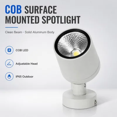 COB LED Flood Light 10-60W IP65 Waterproof Die Cast Aluminum Compact Facade Garden Wall Light