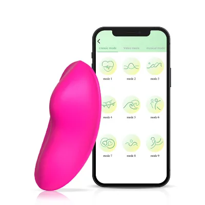 Wellwanted APP-controlled Global Network Vibrator for Women's Underwear Wearable Adult Sex Toy love Egg for 9 Frequencies IPX7