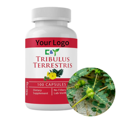 OEM Private Label Tribulus Terrestris Extract Tribulus Terrestris Tablets Tribulus Terrestris Capsule
