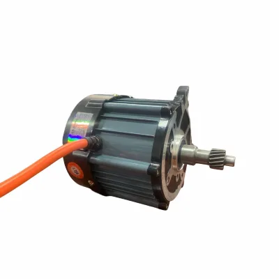 Motors Low Noise 48 Volt Gear Dc Electric Motor for Electric Tricycle