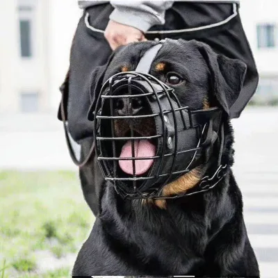 Stainless Steel Dog Anti-Bite Muzzle with Breathable Vents and Adjustable Head Strap for Large Breeds, Pet Protective Muzzle