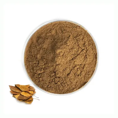 Factory Supply Hawthorn Leaf Powder Pure Natural 10:1 Hawthorn Leaf Extract