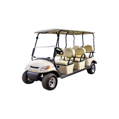 High-Speed 6-Seater Electric Golf Cart with 48V Battery from Pakistan Featuring High-Speed Motor