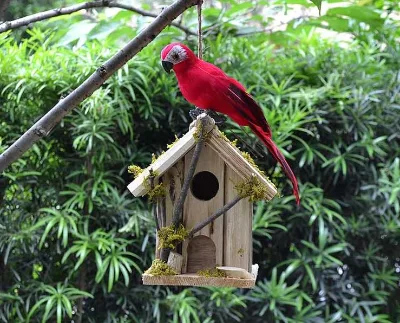 Custom Logo Wooden Bird House with Competitive Price