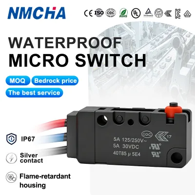 WZ100-W2 Mini Push-Button Waterproof Micro Switch, with Lead Wire, IP67 Sealed, Multiple Styles Available, Factory Direct Sales