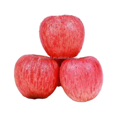 Hot Selling Red Gala Apples High Quality Fresh Produce with Custom Logo Corrugated Cardboard Wholesale Price